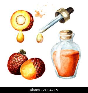 Set aus exotischem Buriti-Fruchtöl. Aquarell handgezeichnete Illustration, isoliert auf weißem Hintergrund Stockfoto