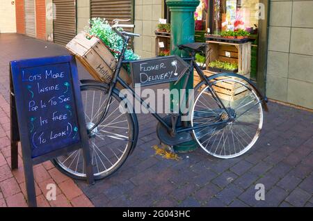 Ein altes altmodische "Handel" Fahrrad früher für Lieferungen jetzt Förderung Creme und braun Florist in Middlesbrough Stockfoto