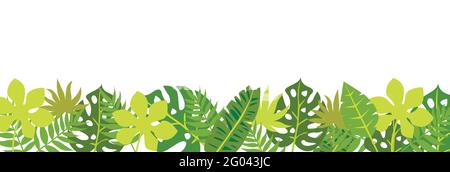 Luxus Natur hinterlässt Hintergrund Vektor. Florales Muster, tropisches Blatt. Exotisches Muster mit Palmblättern. Stock Vektor