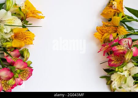 Alstroemeria-Blüten sind an den Seiten angelegt, in der Mitte ist Platz für Text. Auf weißem Hintergrund. Geschenkbouquet, bunte Blumen. Stockfoto