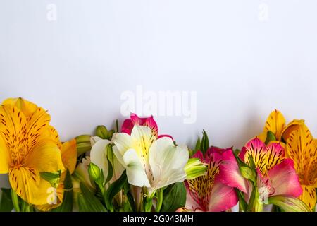 Geschenk, Blumenstrauß. Umrandete Blumen. Schöne Blumenarrangement mit Alstroemeria Blumen auf weißem Hintergrund, Platz für Text Stockfoto