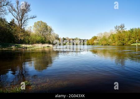 Laubwald und der weite Fluss Warta in Polen Stockfoto