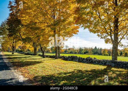 Bäume in voller Herbstfarbe auf der Upper Church Street, Hardwick, Massachusetts Stockfoto