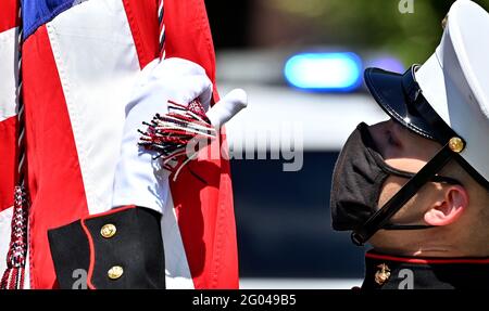 Forty Fort, Usa. Mai 2021. Der Marine Ehrengarde hält die amerikanische Flagge während einer Parade zum Memorial Day.EINE Parade findet vom Kingston Pa zum vierzig Fort Friedhof in Forty Fort, PA, statt. Der Memorial Day wurde nach einem Jahr frei wegen der Covid-19-Pandemie abgehalten. Danach wurde auf dem Friedhof eine Gedenkfeier abgehalten. Kredit: SOPA Images Limited/Alamy Live Nachrichten Stockfoto