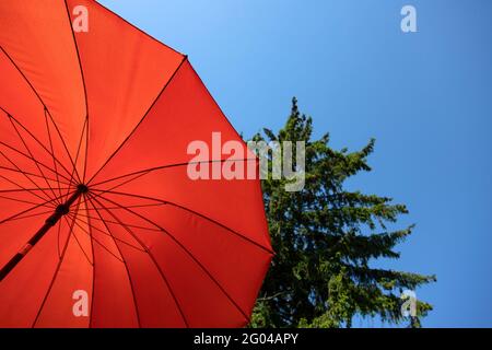 Orangefarbener Sonnenschirm unter blauem Himmel, Kiefer im Hintergrund Stockfoto