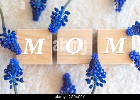 Wortmutter auf Blöcken und blaue Muscari-Blüten auf flauschigen Stoff Stockfoto