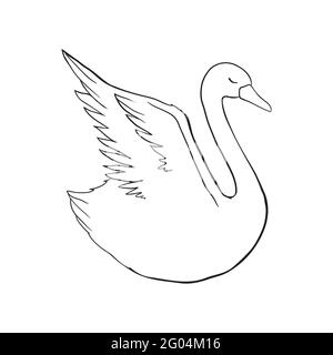 Schwanenskizze. Schwarzer Vogel isoliert auf weißem Hintergrund. Illustrationen Vektor Stock Vektor