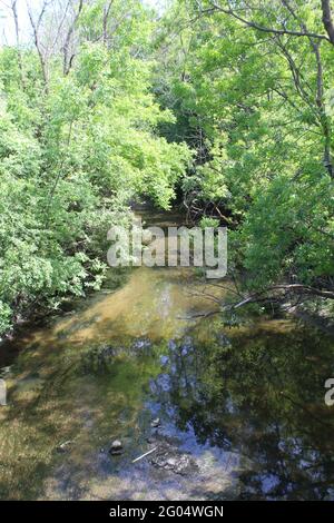 West Fork des North Branch of the Chicago River in Northbrook, Illinois Stockfoto