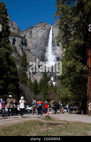 Touristen halten an, um die berühmten und beliebten Upper und Lower Yosemite Falls im kalifornischen Yosemite National Park zu bewundern und zu fotografieren. Stockfoto