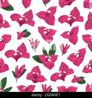 Bougainvillea nahtloses Muster aus vektoriellen weißen Blüten, rosa und grünen Blättern. Floraler Hintergrund von blühenden Bougainvillea Ästen und Reben, Blüte Stock Vektor
