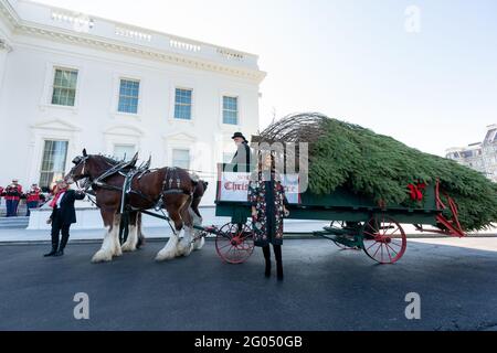 First Lady Melania Trump erhält am Montag, den 19. November 2018, den Weihnachtsbaum des Weißen Hauses im Nordportikus des Weißen Hauses Stockfoto