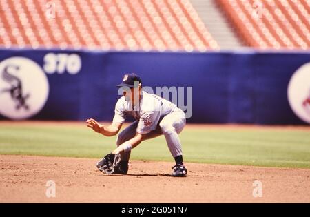 Minnesota Twins Spieler Chuck Knoblauch -- Bitte schreiben Sie dem Fotografen Kirk Schlea eine Gutschrift Stockfoto