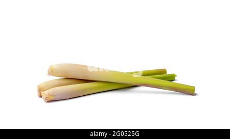 Frisches Zitronengras isoliert auf weißem Hintergrund. Stockfoto