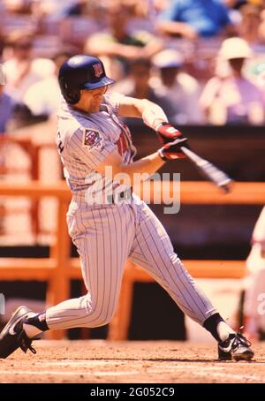 Minnesota Twins Spieler Chuck Knoblauch -- Bitte schreiben Sie dem Fotografen Kirk Schlea eine Gutschrift Stockfoto