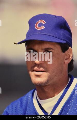 Chicago Cubs Second Basemen Ryne Sandberg close up -- Bitte schreiben Sie der Fotografin Kirk Schlea eine Gutschrift Stockfoto