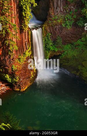 Toketee Falls, North Umpqua River, Umpqua National Forest, Oregon Stockfoto