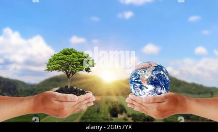Austausch von Planeten in den Händen des Menschen mit jungen Pflanzen in den Händen des Menschen, das Konzept des Erdtages und der Erhaltung der Umwelt.Elemente Stockfoto