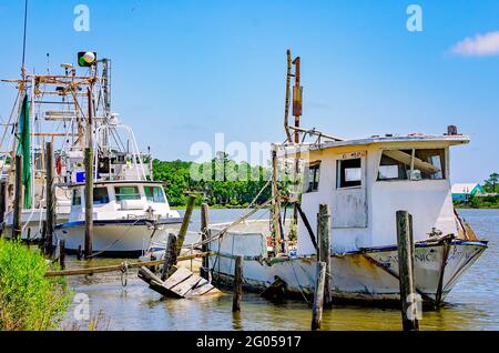 Garnelenboote werden am Bon Secour River, 27. Mai 2021, in Bon Secour, Alabama, angedockt. Stockfoto