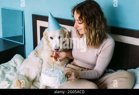 Labrador golden Retriever Hund feiert Geburtstag in Mütze und mit Kuchen. Stockfoto