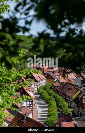 Stolberg, Deutschland. Mai 2021. Blick von der Luthereiche auf die Fachwerkhäuser von Stolberg. Die Burg selbst steht über der Altstadt. Mit seinen Schlossgärten ist es Teil des Netzwerks 'Gartenträume - Historische Parks in Sachsen-Anhalt'. Das Schloss war bis 1945 Sitz der Adelsfamilie der von Stolbergs. Quelle: Stephan Schulz/dpa-Zentralbild/ZB/dpa/Alamy Live News Stockfoto