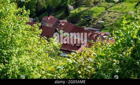 Stolberg, Deutschland. Mai 2021. Vom Schlossberg öffnet sich der Blick auf die Fachwerkhäuser von Stolberg. Die Burg selbst steht über der Altstadt. Mit seinen Schlossgärten ist es Teil des Netzwerks 'Gartenträume - Historische Parks in Sachsen-Anhalt'. Das Schloss war bis 1945 Sitz der Adelsfamilie der von Stolbergs. Quelle: Stephan Schulz/dpa-Zentralbild/ZB/dpa/Alamy Live News Stockfoto