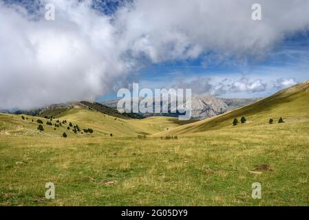 Blick auf die Ensija-Bergkette und Pedraforca von den Pla d'Ensija-Wiesen (Berguedà, Katalonien, Spanien, Pyrenäen) Stockfoto