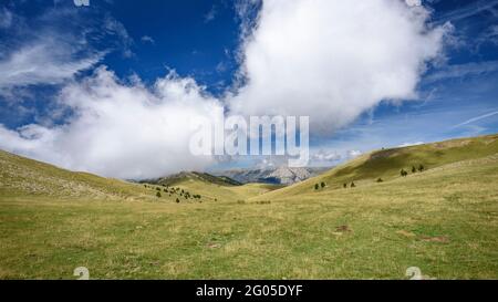 Blick auf die Ensija-Bergkette und Pedraforca von den Pla d'Ensija-Wiesen (Berguedà, Katalonien, Spanien, Pyrenäen) Stockfoto