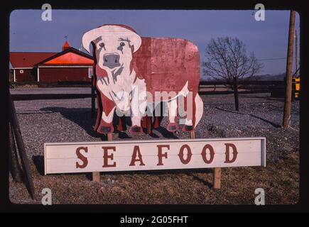 1980er Jahre Amerika - Bullenschild, Meeresfrüchte, Chittenango, New York 1988 Stockfoto