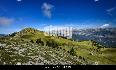 Ensija-Gebirge von der Ensija-Hütte aus gesehen (Berguedà, Katalonien, Spanien, Pyrenäen) ESP: Vista General de la Serra de Ensija desde la parte alta Stockfoto