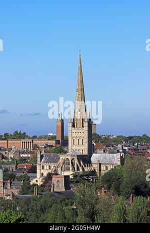 Blick auf die historische normannische Kathedrale vom St. James Hill in der Stadt Norwich, Norfolk, England, Großbritannien. Stockfoto