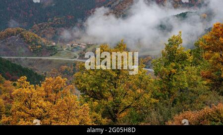 Gréixer-Tal, im Herbst, am Fuße des Moixeró (Berguedà, Katalonien, Spanien, Pyrenäen) ESP: Valle de Gréixer, en otoño, a los pies del Moixeró Stockfoto