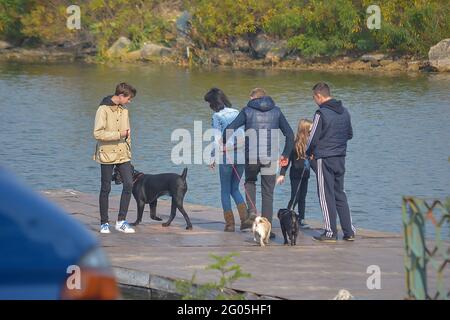 Frau mittleren Alters mit ihrer Tochter und drei Teenager mit ihren Haustieren auf dem Pier. Die Menschen schlendern mit ihren Hunden am Flussufer des Herbstes entlang. Hunde sind es Stockfoto