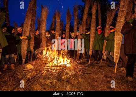 Das Feuer der FIA-faia de Sant Julià de Cerdanyola in den Bergen in der Nacht des 24. Dezember zu Weihnachten entzünden (Berguedà, Katalonien, Spanien) Stockfoto