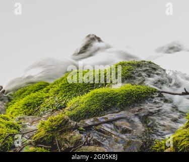 Feuchtes Moos an der Seite des Wasserfalls mit herabströmenden Wassertröpfchen Stockfoto