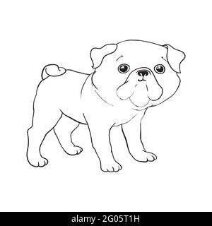 Pug-Vektor hand Zeichnung Illustration in schwarzer Farbe auf weißem Hintergrund Stock Vektor