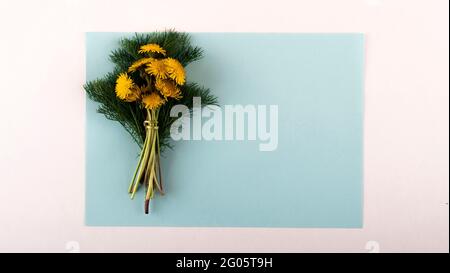 Wildblumen auf weißem Holzgrund, Lupinenlöckchen Thymianmint-Blütenblätter, Raps. Stockfoto