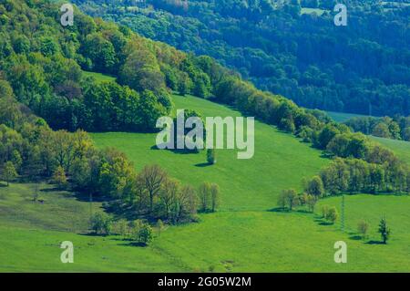 Blick in die hügelige Landschaft mit Weiden, Heckenreihen und Bäumen Stockfoto