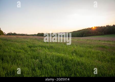 Wiese bei Sonnenuntergang im Muttental bei Witten-Bommern, Ruhrgebiet, Nordrhein-Westfalen, Deutschland. Wiese bei Sonnenuntergang im Muttental bei Stockfoto