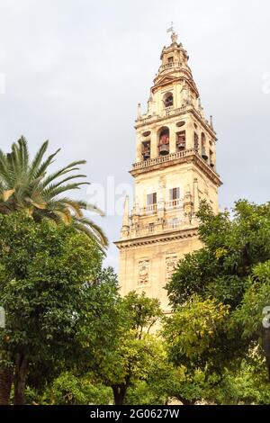 Turm der Moschee Kathedrale Mezquita-Kathedrale von Cordoba, Spanien Stockfoto