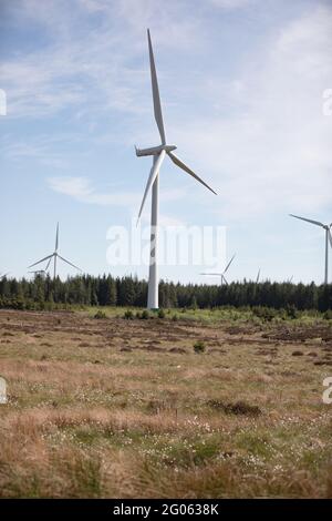 Whitelee Windfarm in East Renfrewshire, Schottland, im Besitz von Scottish Power Stockfoto