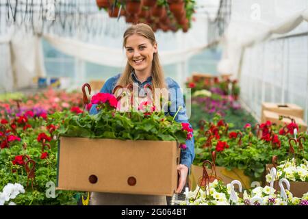 Frau besitzt ein Gewächshaus für kleine Unternehmen. Unternehmerin. Stockfoto