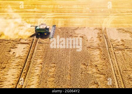 Ernte Weizenkorn im Sommer Feld. Harvester kombinieren in einer Wolke aus Staub glüht von der untergehenden Sonne. Luftaufnahme von oben Stockfoto