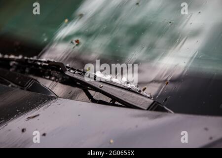 Kleine Hageleiskugeln auf der schwarzen Motorhaube nach der Nahaufnahme eines schweren Sommersturms mit selektivem Fokus bei Tageslicht. Stockfoto