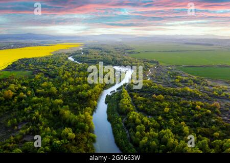 Flug durch den majestätischen Fluss Dnister, üppig grünen Wald und blühende gelbe Rapsfelder bei Sonnenuntergang. Ukraine, Europa. Landschaftsfotografie Stockfoto