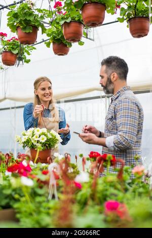 Glückliches Paar besitzt ein kleines Geschäft im Gewächshaus. Sie untersuchen Pflanzen. Stockfoto