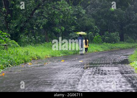 Romantisches Paar mit einem Regenschirm zu Fuß und verblasste in der Natur, konzeptuelles Stockbild der Regenzeit, Kalkutta, Westbengalen. Monsun von Indien. Stockfoto
