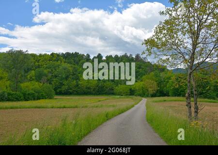 Die Landschaft Ende Mai in der Nähe des Dorfes Merso di Sopra in der Provinz Udine, Friaul-Julisch Venetien, Nordostitalien Stockfoto