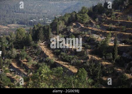 Alte Landwirtschaft, Blick auf Terrassen an den Hängen der Judäischen Hügel von den alten Israeliten gebaut, um zu verlangsamen fließendes Regenwasser Bodenerosion zu stoppen. Stockfoto