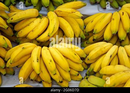 Bananen auf dem Marktplatz in Ipanema Nachbarschaft Stockfoto