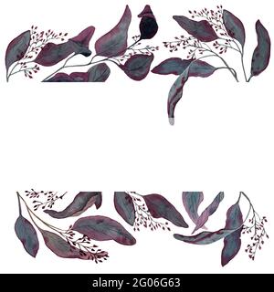 Aquarell handgezeichnete nahtlose Grenze aus rotem Eukalyptus mit Samen. Dekorative Botanik-Illustration. Design für Verpackungen, Tapeten, Grußkarten Stockfoto